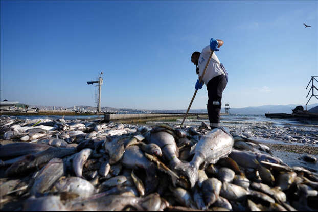 İzmir Büyükşehir Belediyesi'ne Körfez'i kirletme cezası - 1. Resim