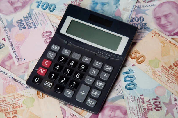 Tamamlayıcı Emeklilik Sistemi ile Kıdem Tazminatının kalkması öngörülüyor - 7. Resim