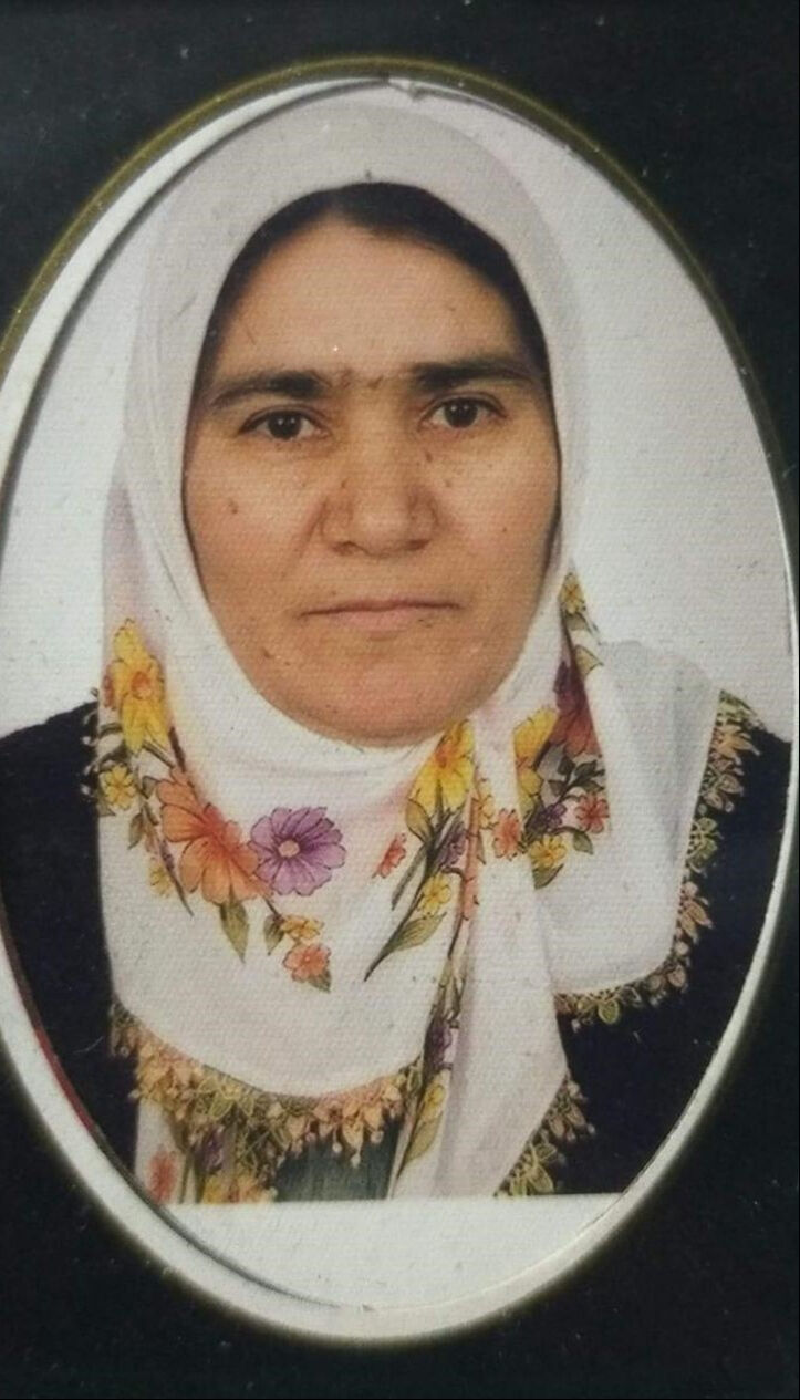 Yolun karşısına geçmek isterken can verdi! Kaza görüntüleri yürekleri sızlattı Yolun karşısına geçmek isterken can verdi! Kaza görüntüleri yürekleri sızlattı - 1. Resim