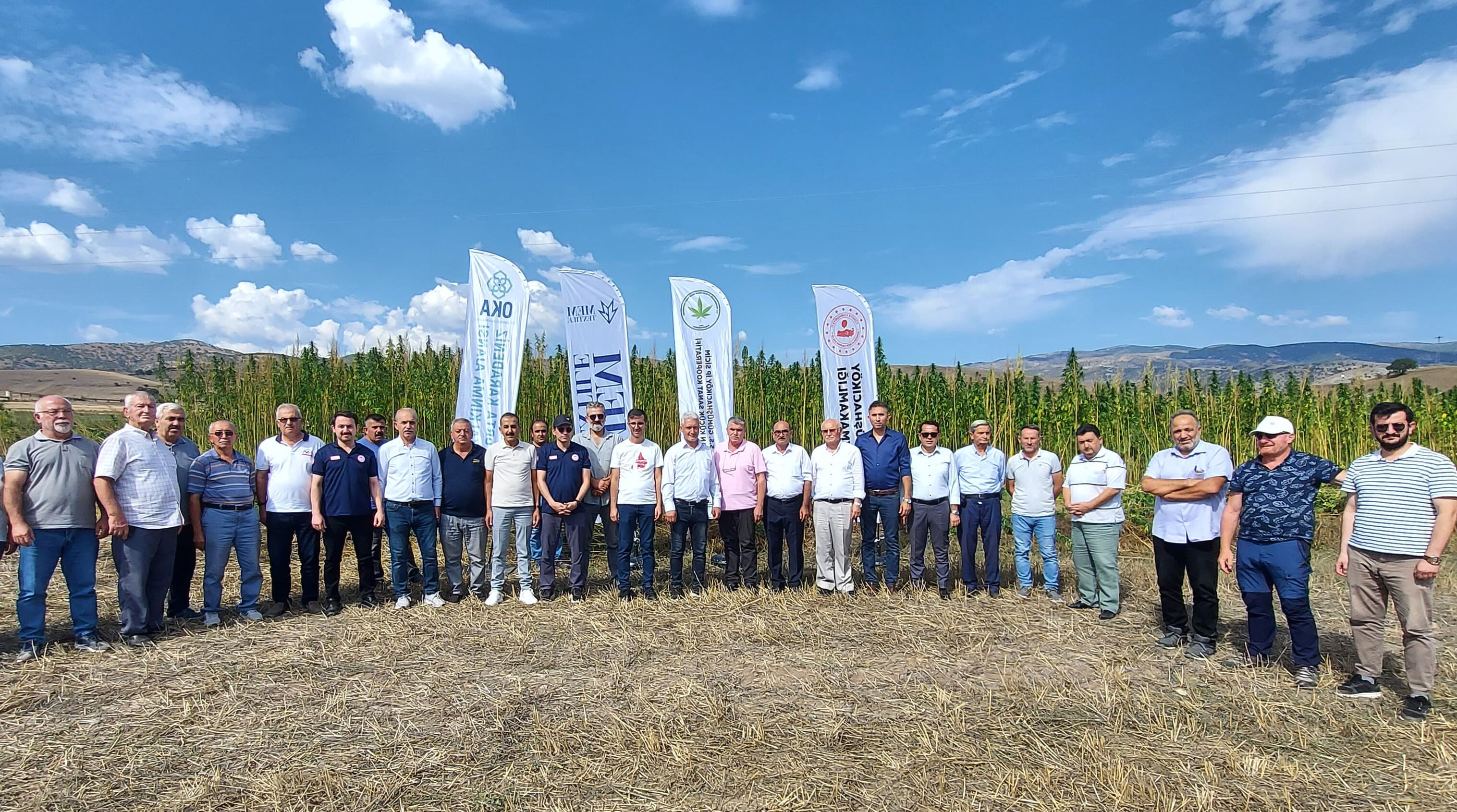 40 yıllık ata tohumlarıyla ekilen kenevirin Amasya'da hasadı başladı - 2. Resim