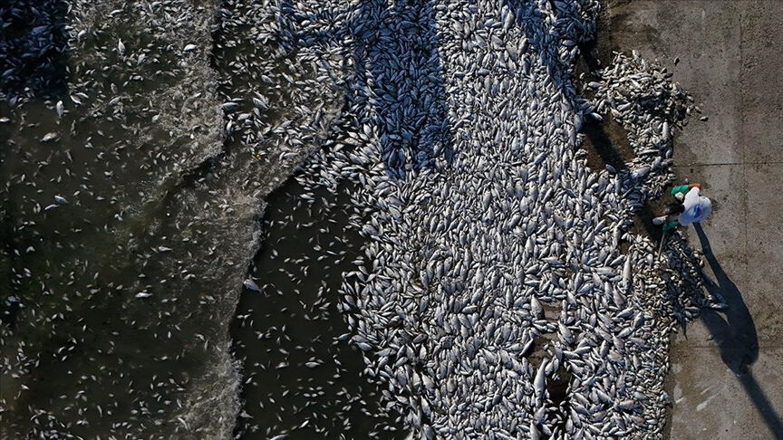 Bakan Murat Kurum ve İzmir Büyükşehir Belediye Başkanı Cemil Tugay İzmir için görüştü Bakan Murat Kurum ve İzmir Büyükşehir Belediye Başkanı Cemil Tugay İzmir için görüştü - 2. Resim