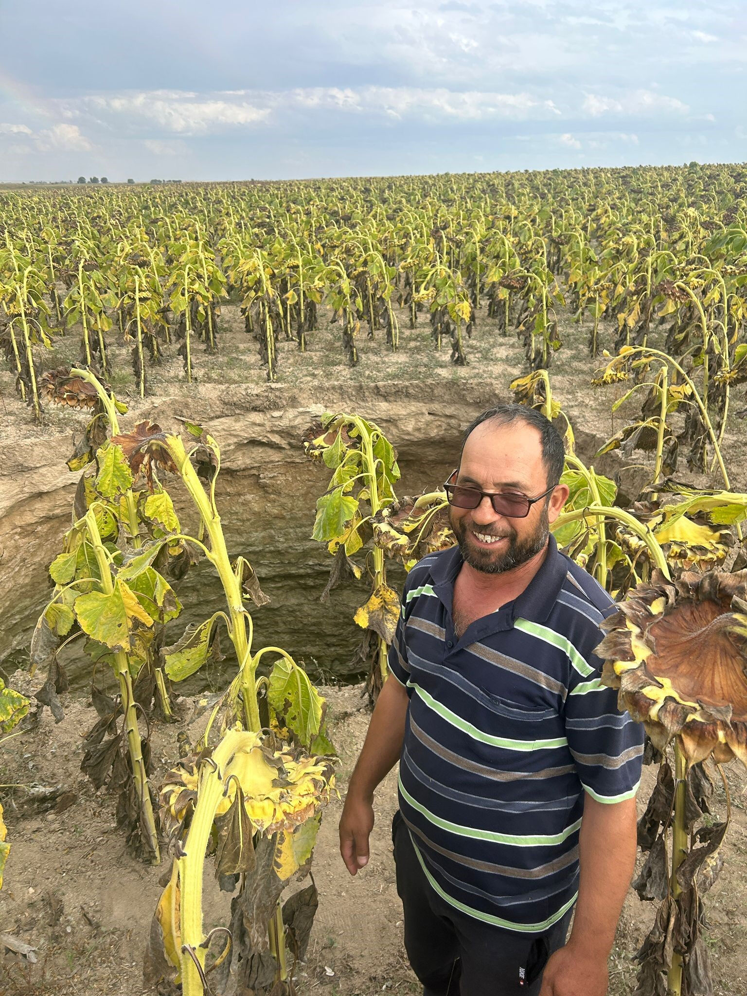 Konya'dan sonra şimdi de Eskişehir! Ayçiçek tarlasındaki devasa obruk görenleri korkuttu - 3. Resim