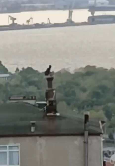 Samsun'da aranan firari şahıs, çıktığı çatıda kıskıvrak yakalandı - 1. Resim