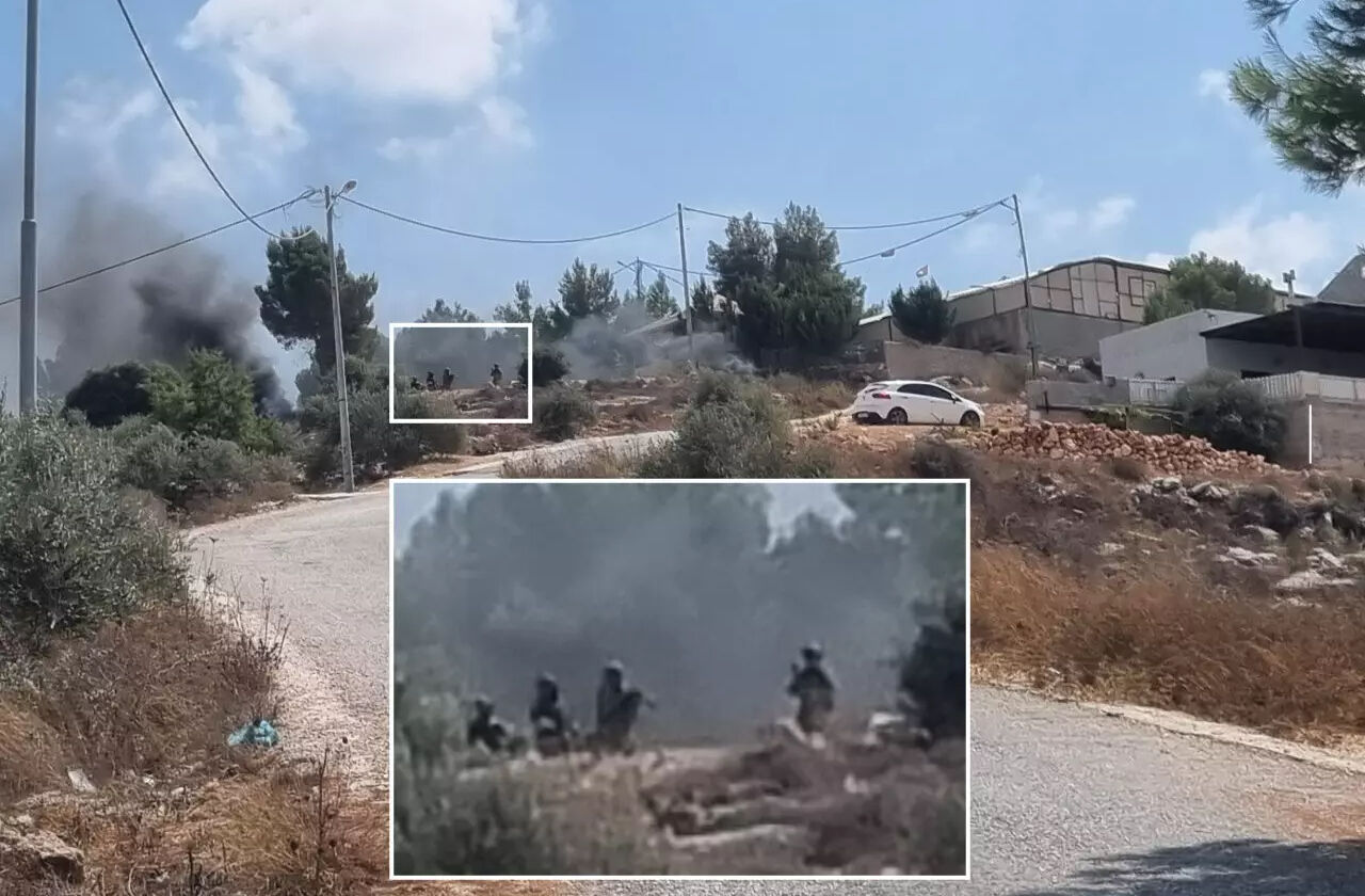 Amerikan basını 'Ayşenur Ezgi Eygi' gerçeğini ortaya çıkardı - 1. Resim