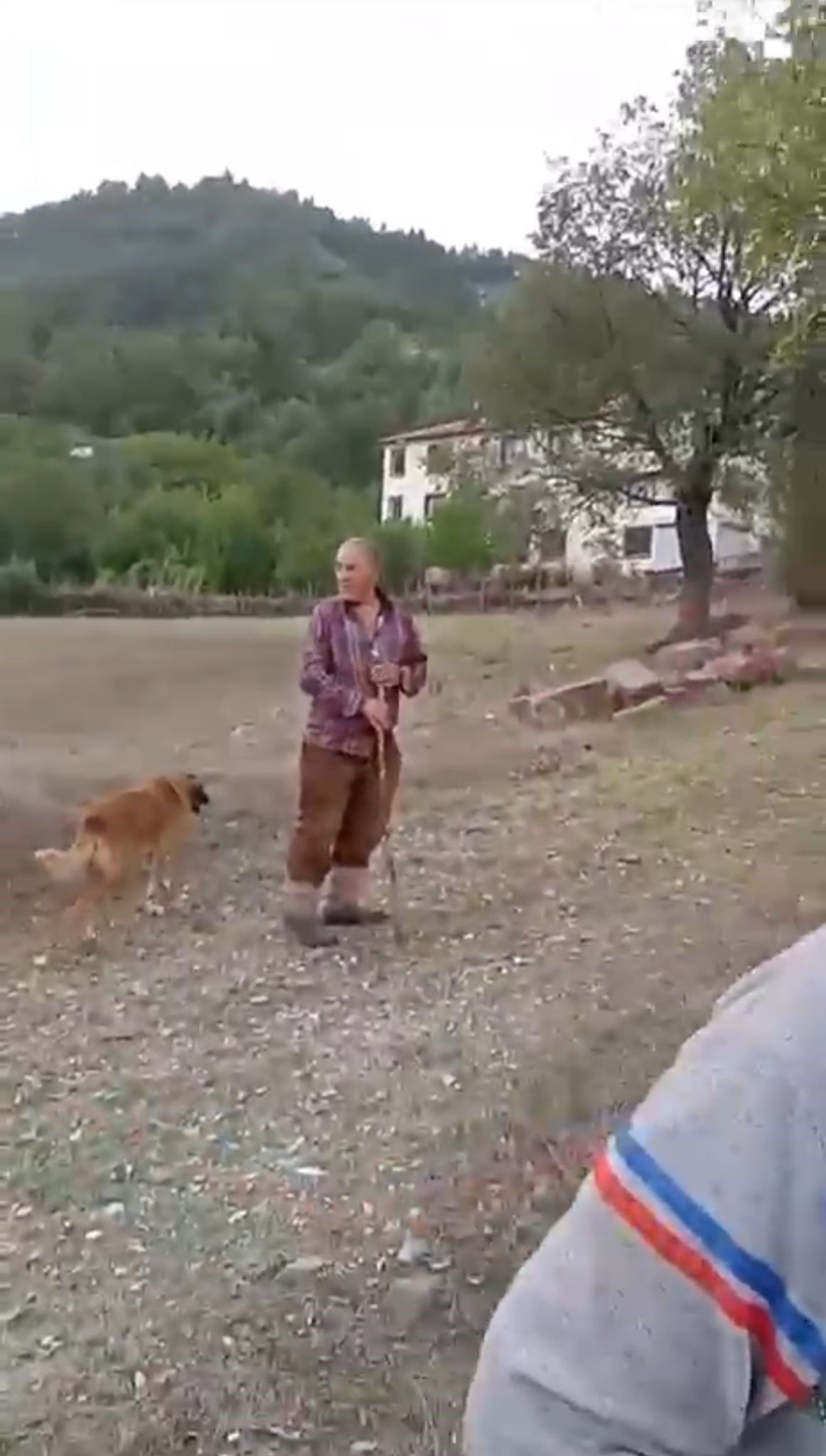 Dehşete düşüren görüntüler: Çocuklar yaşlı çifte taşlarla saldırdı - 2. Resim