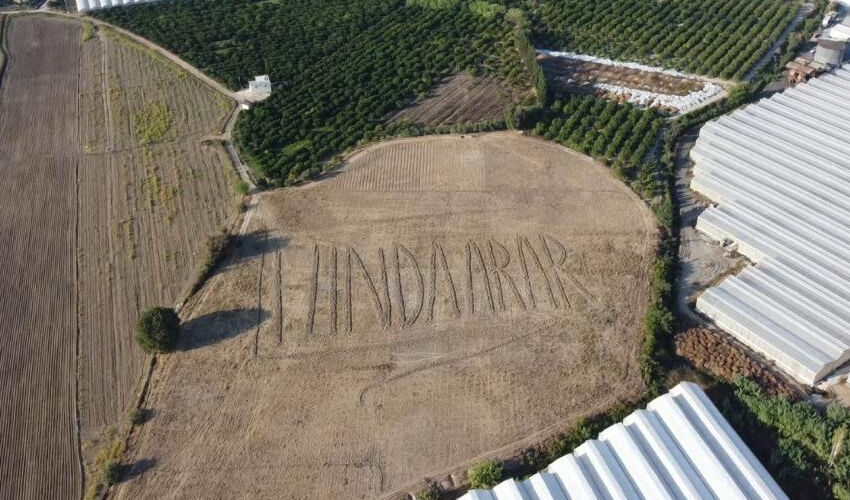 Funda Arar hayranlığından bunu da yaptı! Görenlerin ağzı açık kaldı - 3. Resim