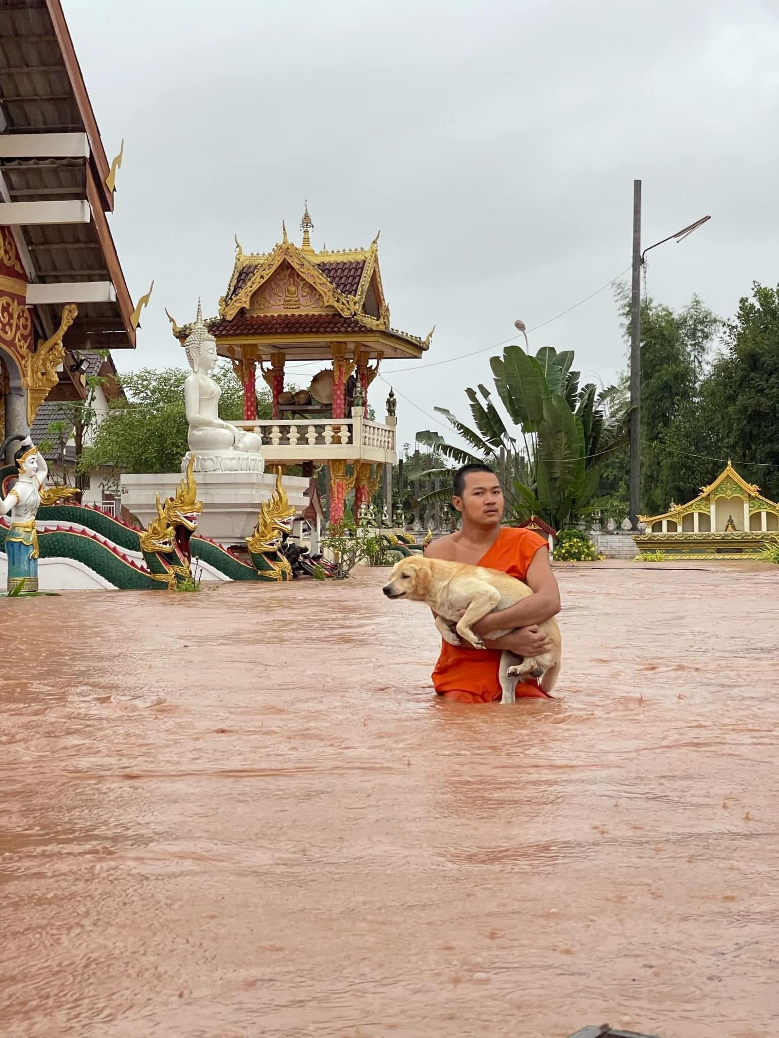 Güney Asya'nın kabusu bitmiyor: Yüzlerce kişi selden öldü! - 1. Resim