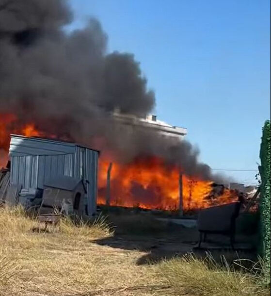 İstanbul'da otluk alanda yangın paniği: Peyzaj şirketine sıçradı, kapkara dumanlar gökyüzünü kapladı - 1. Resim