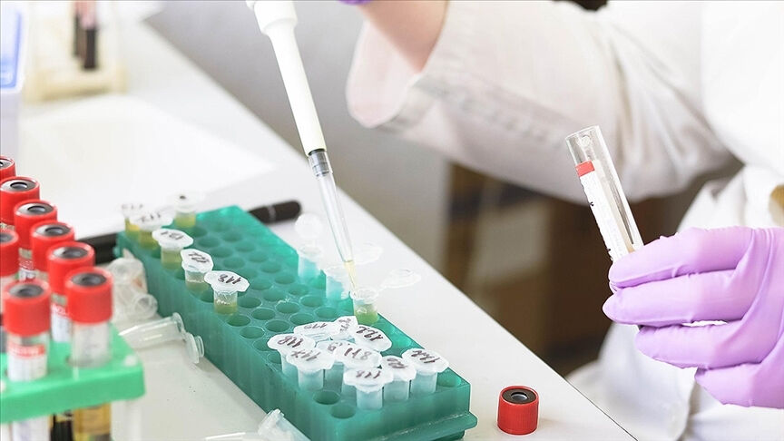 Maymun virüsüne karşı ilk aşı için onay çıktı! DSÖ aşının ön yeterlilik aldığını duyurdu - 2. Resim