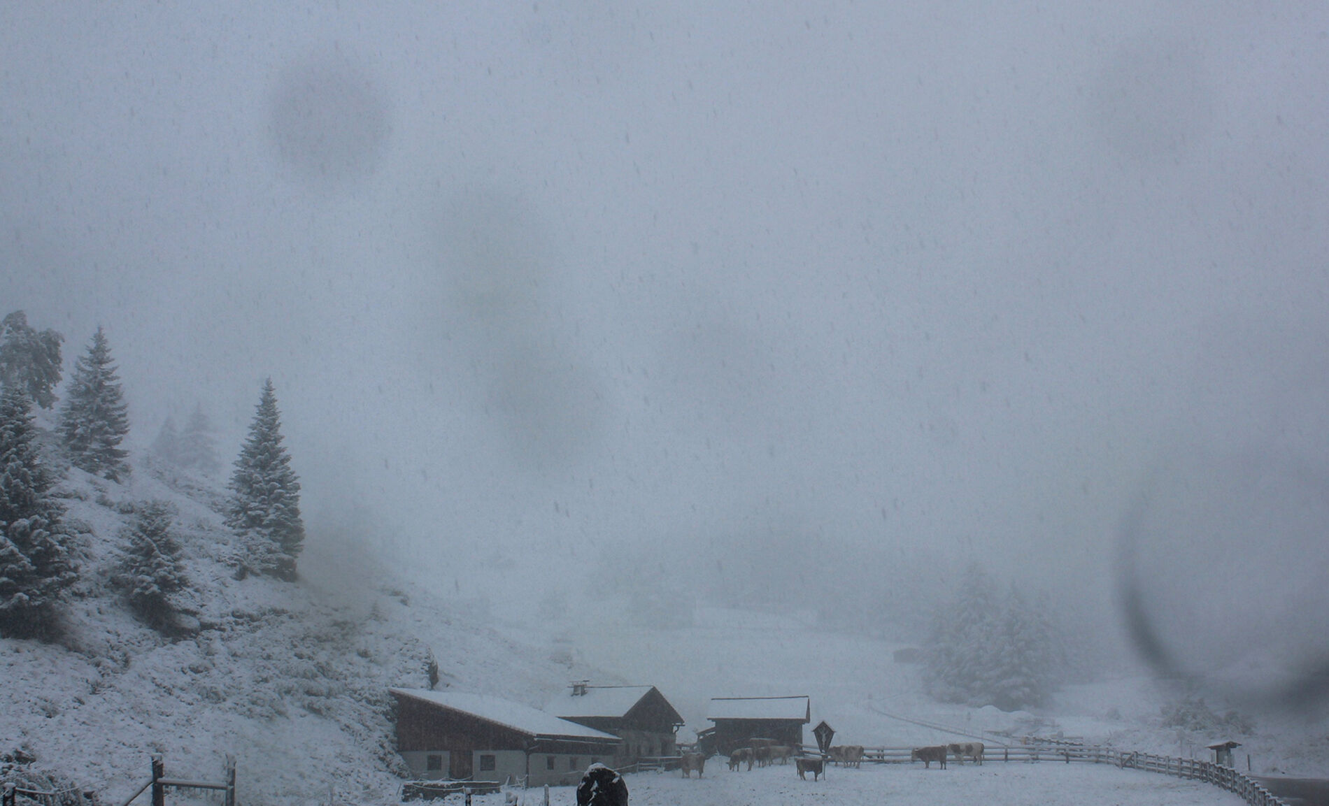 Bir günde mevsim değişti, dondurucu soğuk ve kar geldi! Uyarılar peş peşe - 1. Resim
