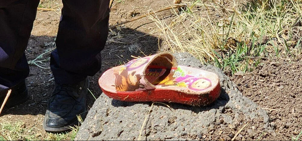 Narin bulunmasın diye yangın bile çıkarmışlar! Çarpıcı ayrıntılar mahkeme kararında - 8. Resim