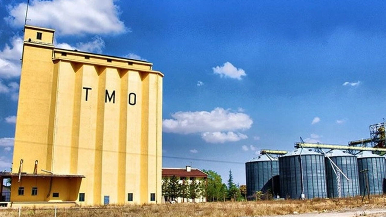 Buğday alım ve prim ödemeleri çiftçiye ne zaman yapılacak? TMO Genel Müdürü tarih vererek açıkladı - 2. Resim
