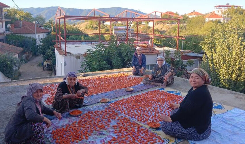 &Uuml;&ccedil;&uuml; de 90 yaşında! Uzun yaşamanın sırrını tek bir şeye bor&ccedil;lular - 1. Resim