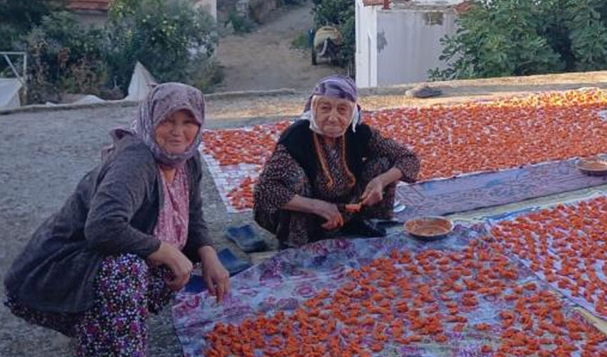 &Uuml;&ccedil;&uuml; de 90 yaşında! Uzun yaşamanın sırrını tek bir şeye bor&ccedil;lular - 2. Resim