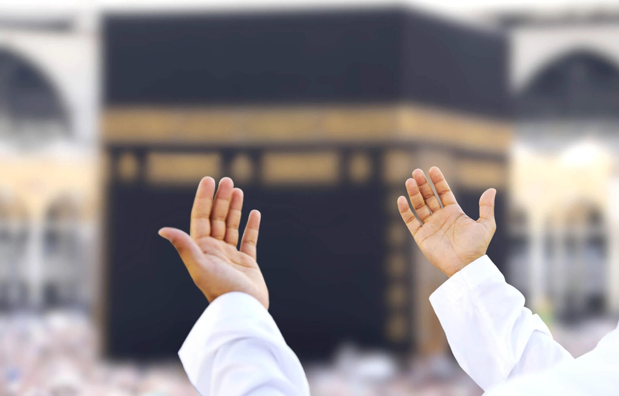 2025 hac ön kayıt ve kayıt yenileme işlemleri 27 Eylül'e kadar e-Devlet üzerinden yapılabilecek 2025 hac ön kayıt ve kayıt yenileme işlemleri 27 Eylül'e kadar e-Devlet üzerinden yapılabilecek - 3. Resim