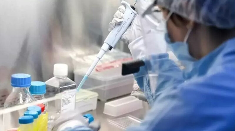 Koronavirüsün yeni varyantı XEC hızla yayılıyor! İşte belirtileri Koronavirüsün yeni varyantı XEC hızla yayılıyor! İşte belirtileri - 3. Resim