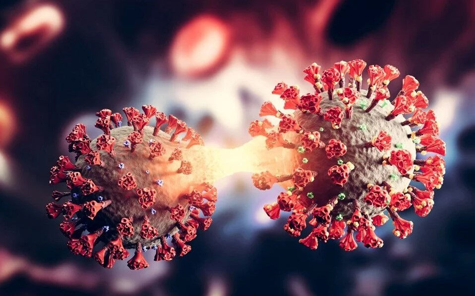 Koronavirüsün yeni varyantı XEC hızla yayılıyor! İşte belirtileri Koronavirüsün yeni varyantı XEC hızla yayılıyor! İşte belirtileri - 1. Resim