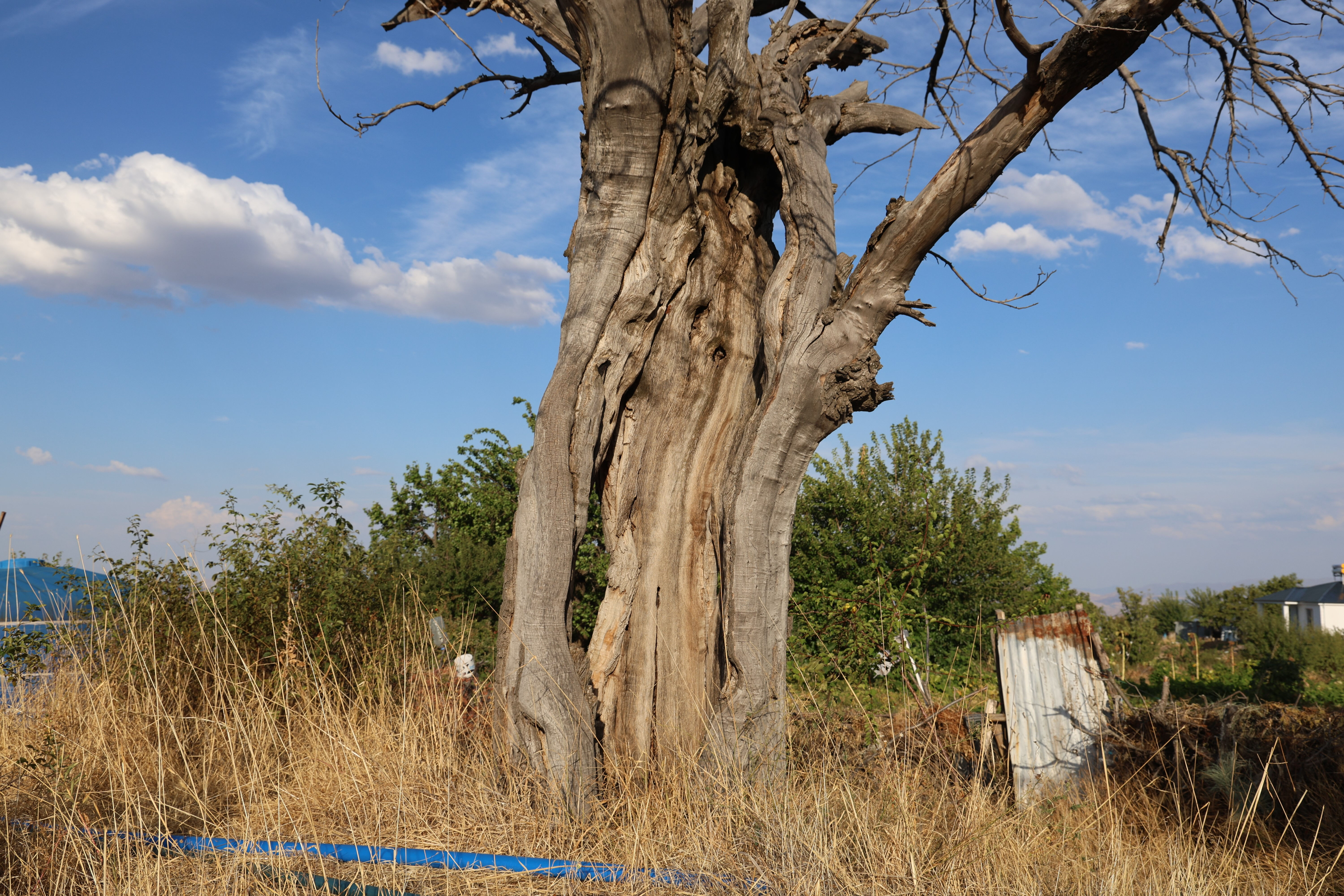 Yağmurlu hava köylünün kabusu oldu! Vatandaşlar korkudan dışarı çıkmıyor - 1. Resim