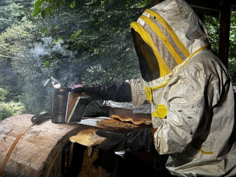 Şifa deposu Ayder balının hasadı başladı! Kilosu 3 bin TL - 1. Resim