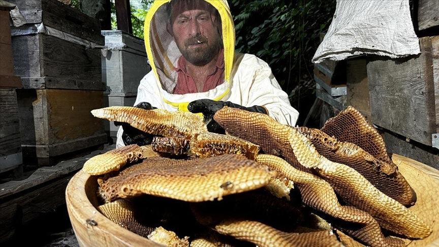 Şifa deposu Ayder balının hasadı başladı! Kilosu 3 bin TL - 2. Resim