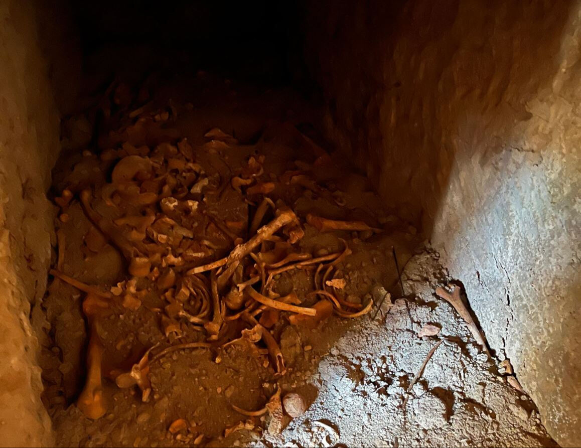 Deprem projesinden tarih çıktı! Gaziantep'te Roma dönemine ait mezar bulundu - 3. Resim