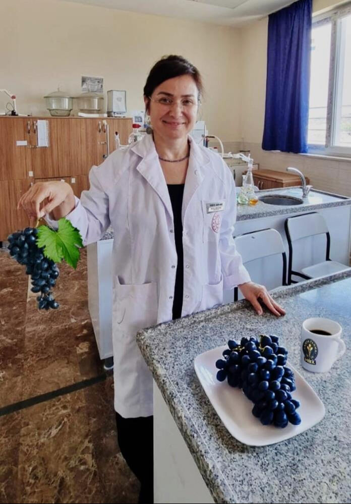 Her derde deva! Uzmanlar özellikle uyardı: Üzümü çekirdeğiyle yiyin - 3. Resim