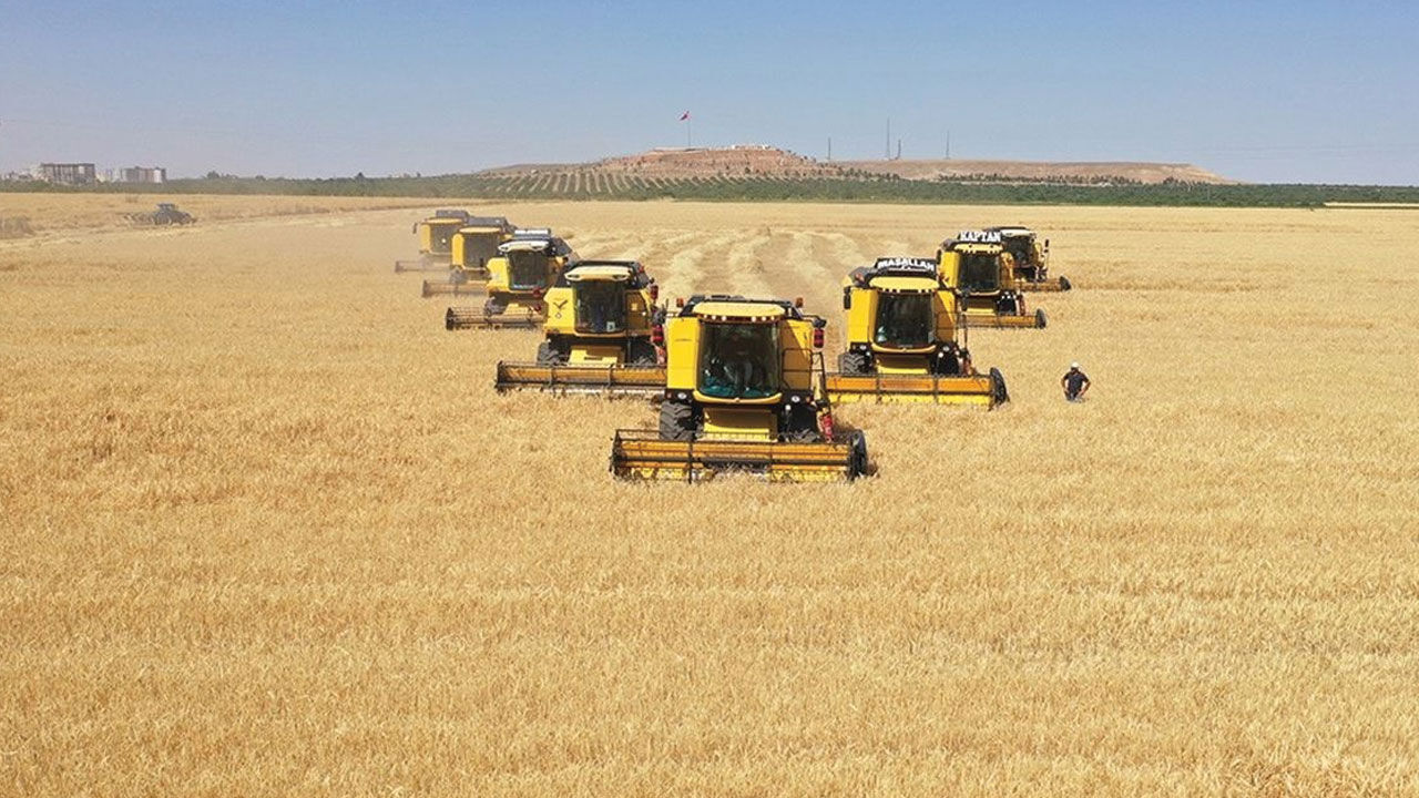 Dezenformasyonla Mücadele Merkezi İYİ Partili Milletvekili Turhan Çömez'in 'tonlarca buğday çürüdü' iddiasını yalanladı - 2. Resim