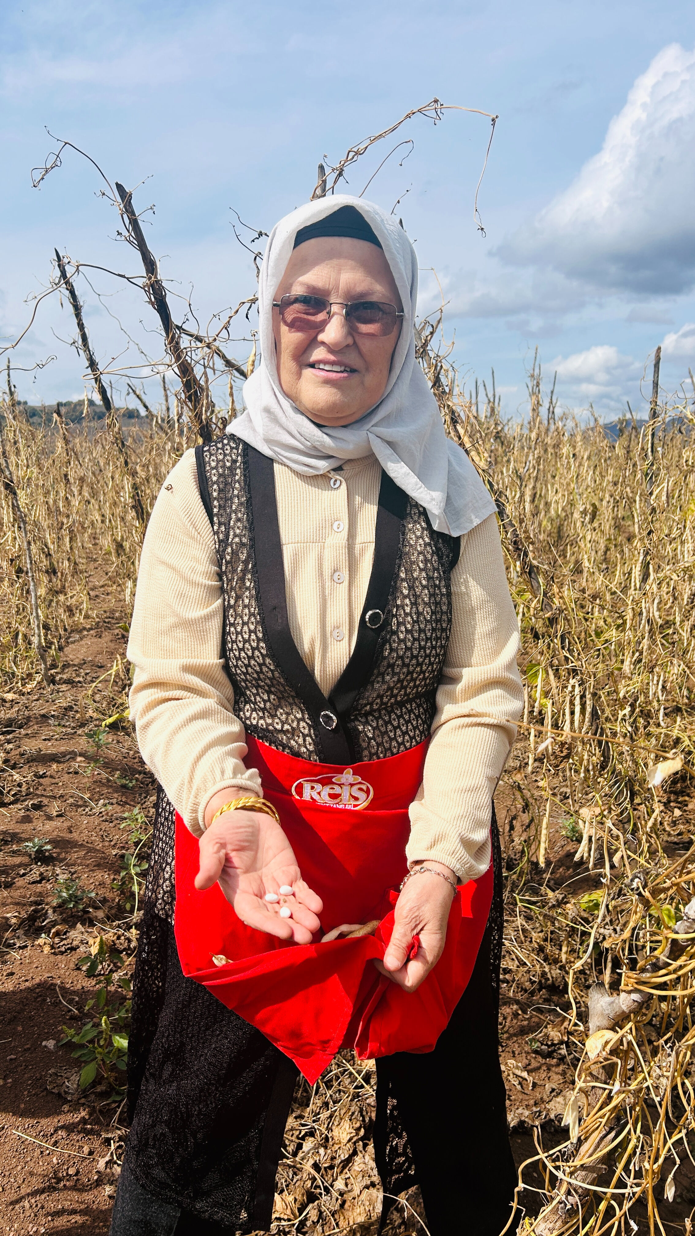 Reis Bakliyat köylerinde akkuş şeker fasulyesi hasadına başladı! - 3. Resim