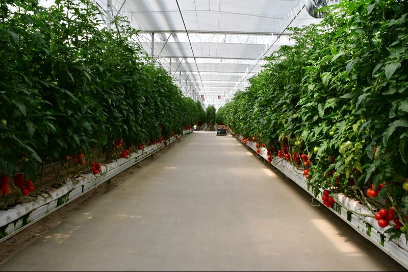 Serada temizlik yaparken hastanelik oldular! - 1. Resim