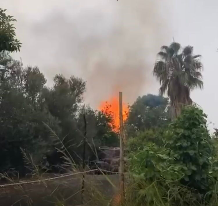 4 ilde yıldırım faciası! 3 kişi öldü, 9 kişi yaralandı, hayvanlar ise telef oldu - 4. Resim