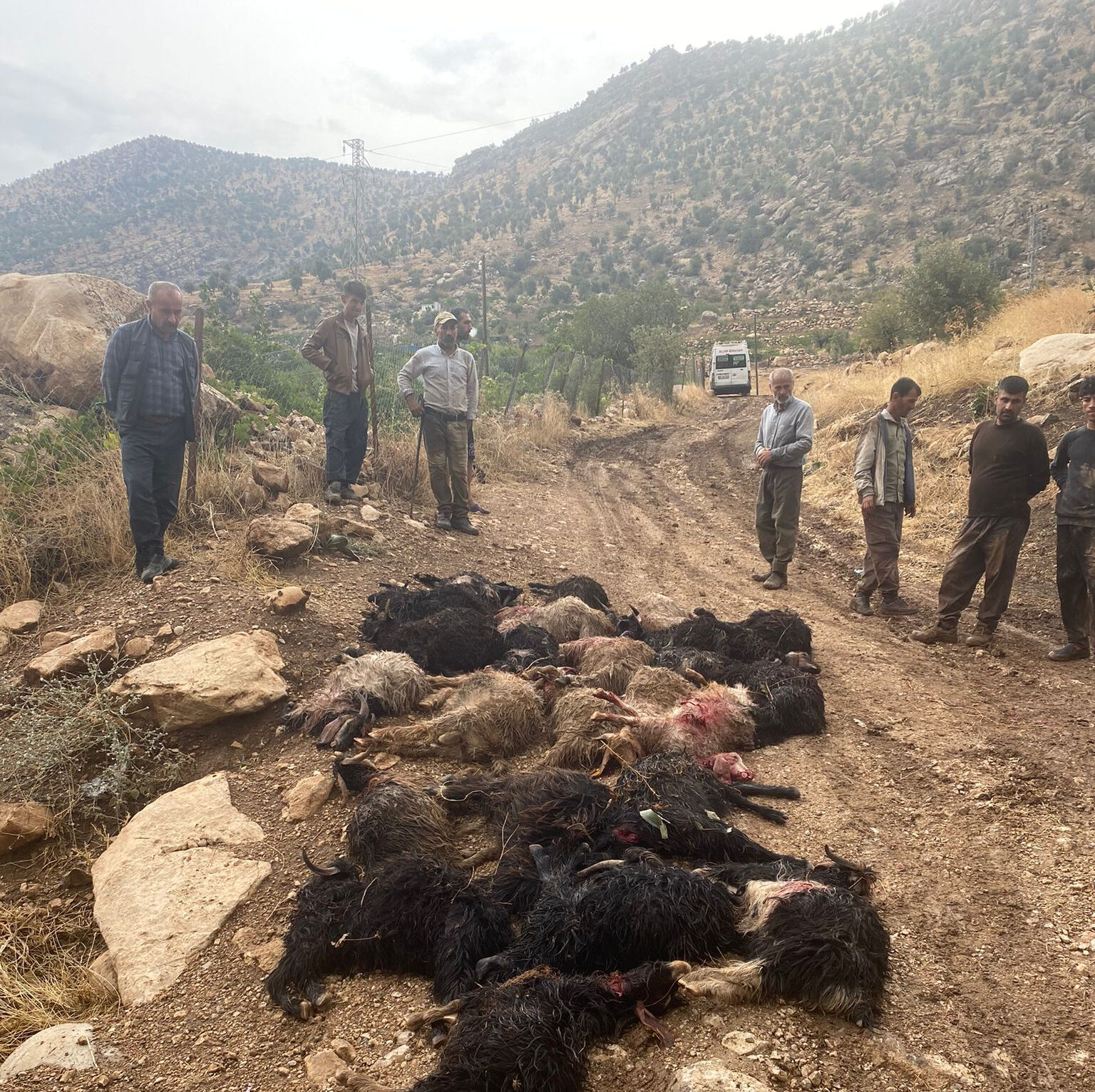 4 ilde yıldırım faciası! 3 kişi öldü, 9 kişi yaralandı, hayvanlar ise telef oldu - 3. Resim