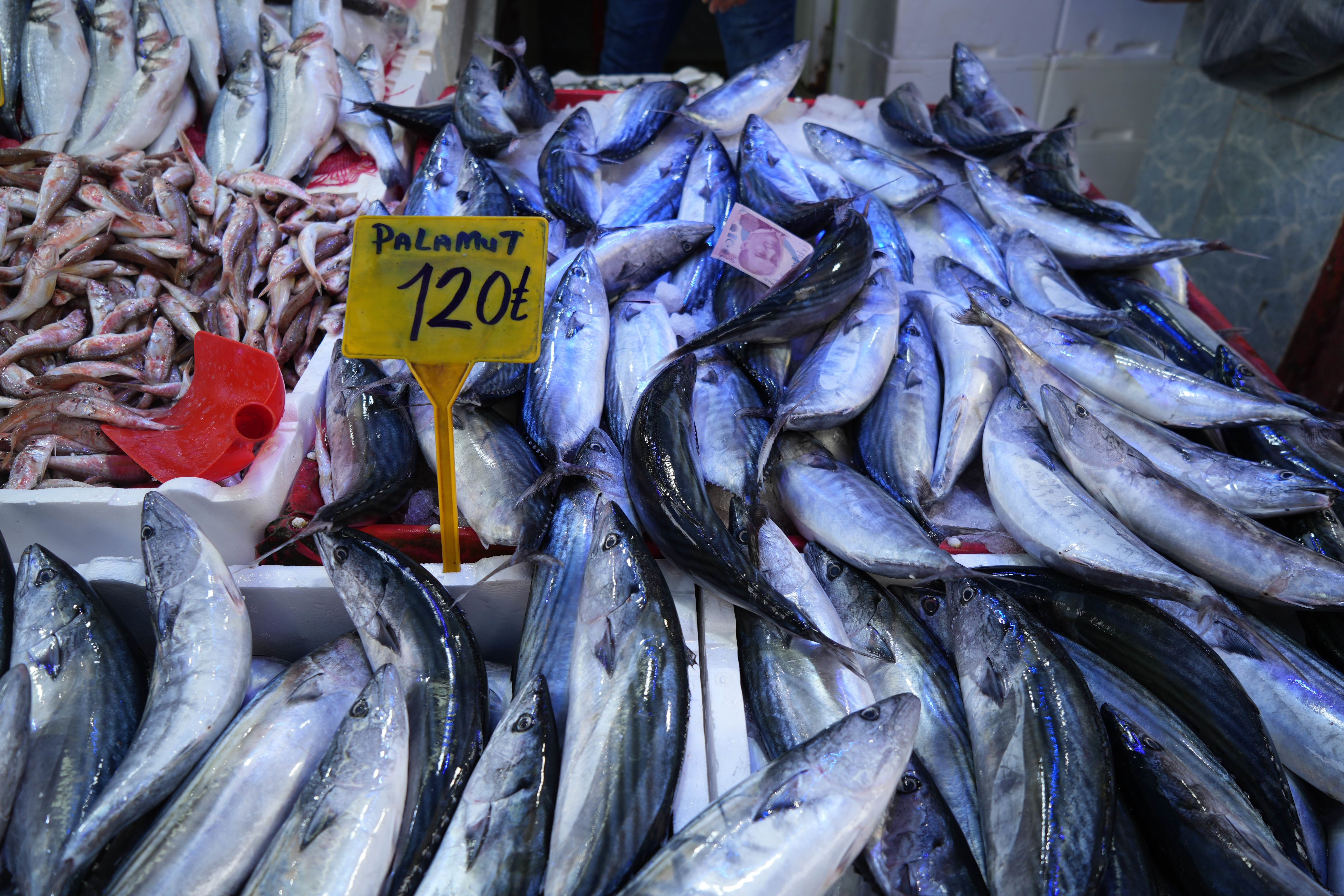 Palamut Rusya'ya kaçtı, fiyat 1 haftada 2,5 kat arttı - 1. Resim