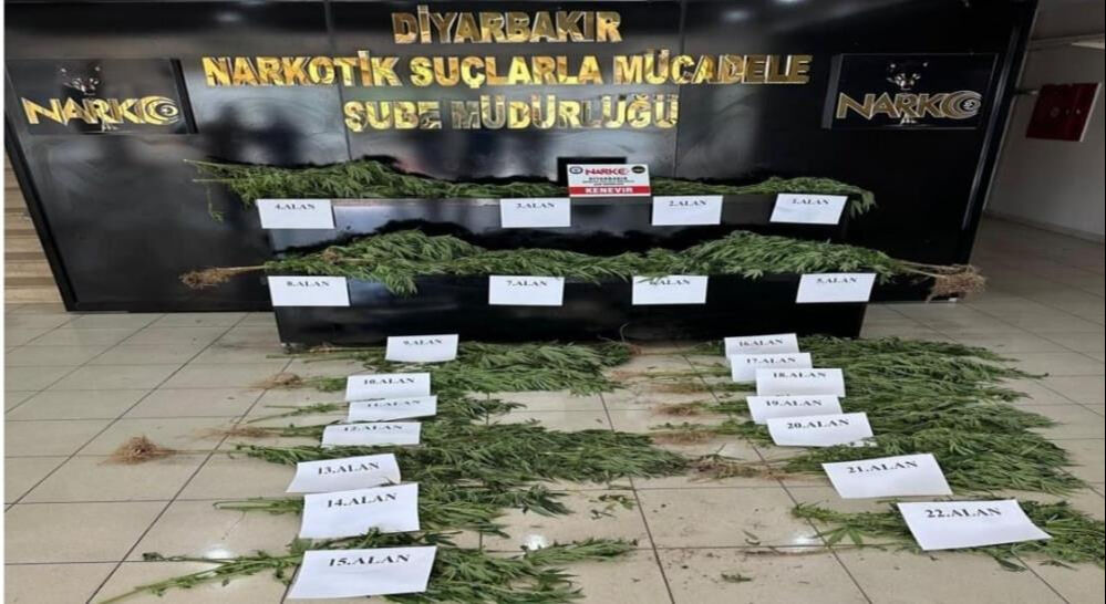 UNESCO listesindeki Hevsel Bahçeleri'ne uyuşturucu operasyonu! - 2. Resim