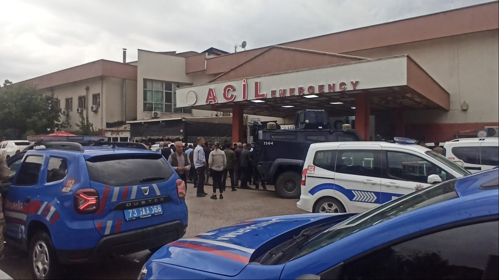 Yağmurdan kaçıp, ağacın altına sığındılar! Üzerlerine yıldırım düştü, çok sayıda ölü ve yaralı var - 1. Resim