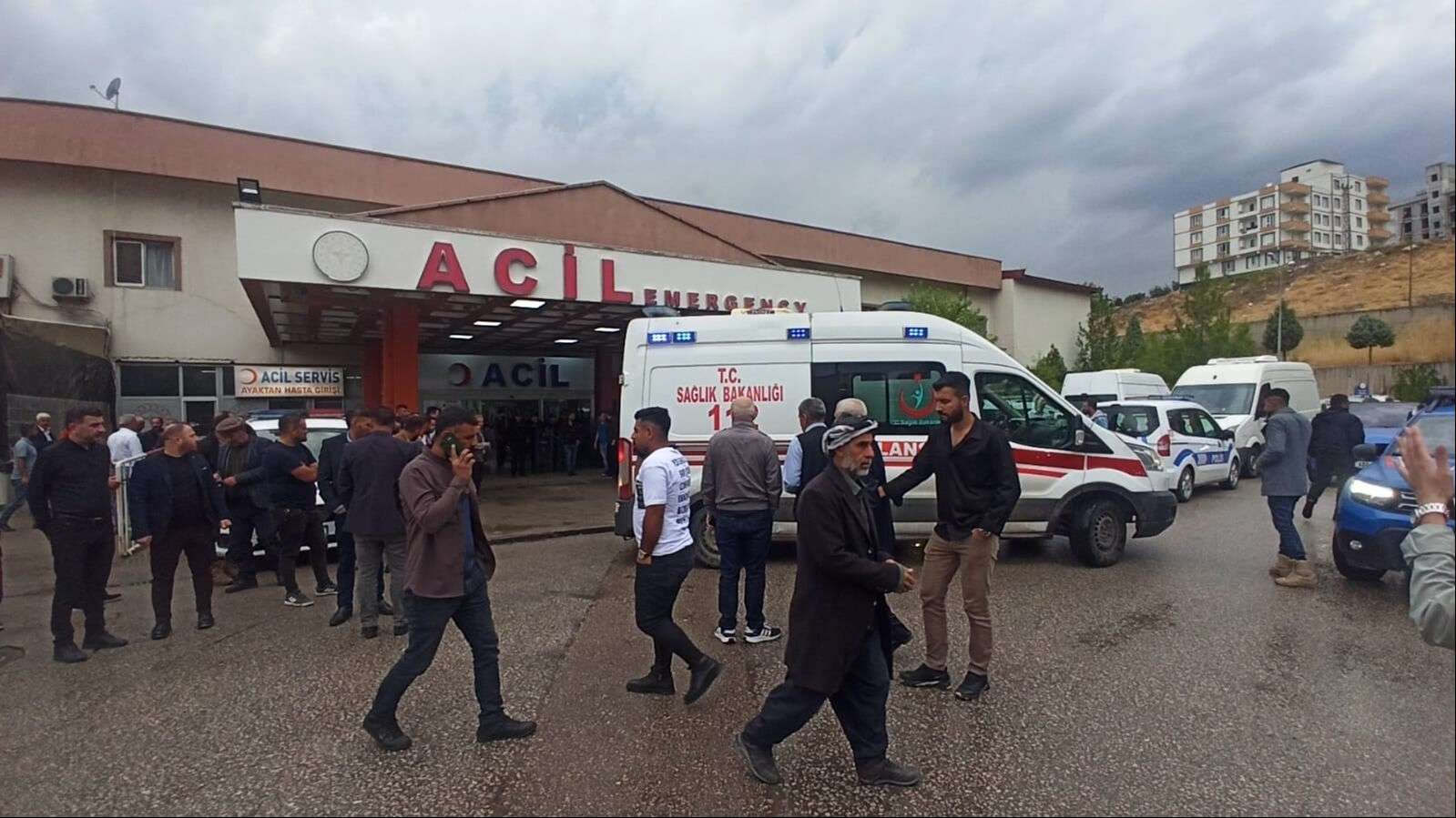 Yağmurdan kaçıp, ağacın altına sığındılar! Üzerlerine yıldırım düştü, çok sayıda ölü ve yaralı var - 2. Resim