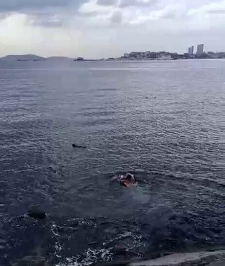 Dengesini kaybeden kadın denize düştü! Hiç düşünmeden peşinden atladı Dengesini kaybeden kadın denize düştü! Hiç düşünmeden peşinden atladı - 2. Resim