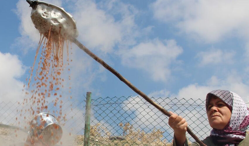Odun ateşinde saatlerce kaynıyor! Tam bir şifa kaynağı, kilosu 250 liradan satılıyor - 3. Resim