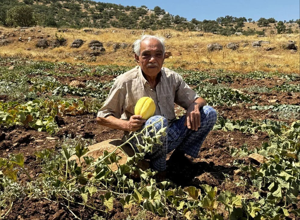 Terör ve kan davaları yüzünden 47 yıl önce terk edilen Siirt'teki köye 5 aile geri döndü - 1. Resim