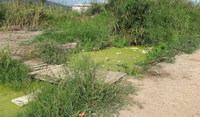 Korkunç olay! Sulama kanalına düşen 2 yaşındaki Faruk boğuldu - 2. Resim