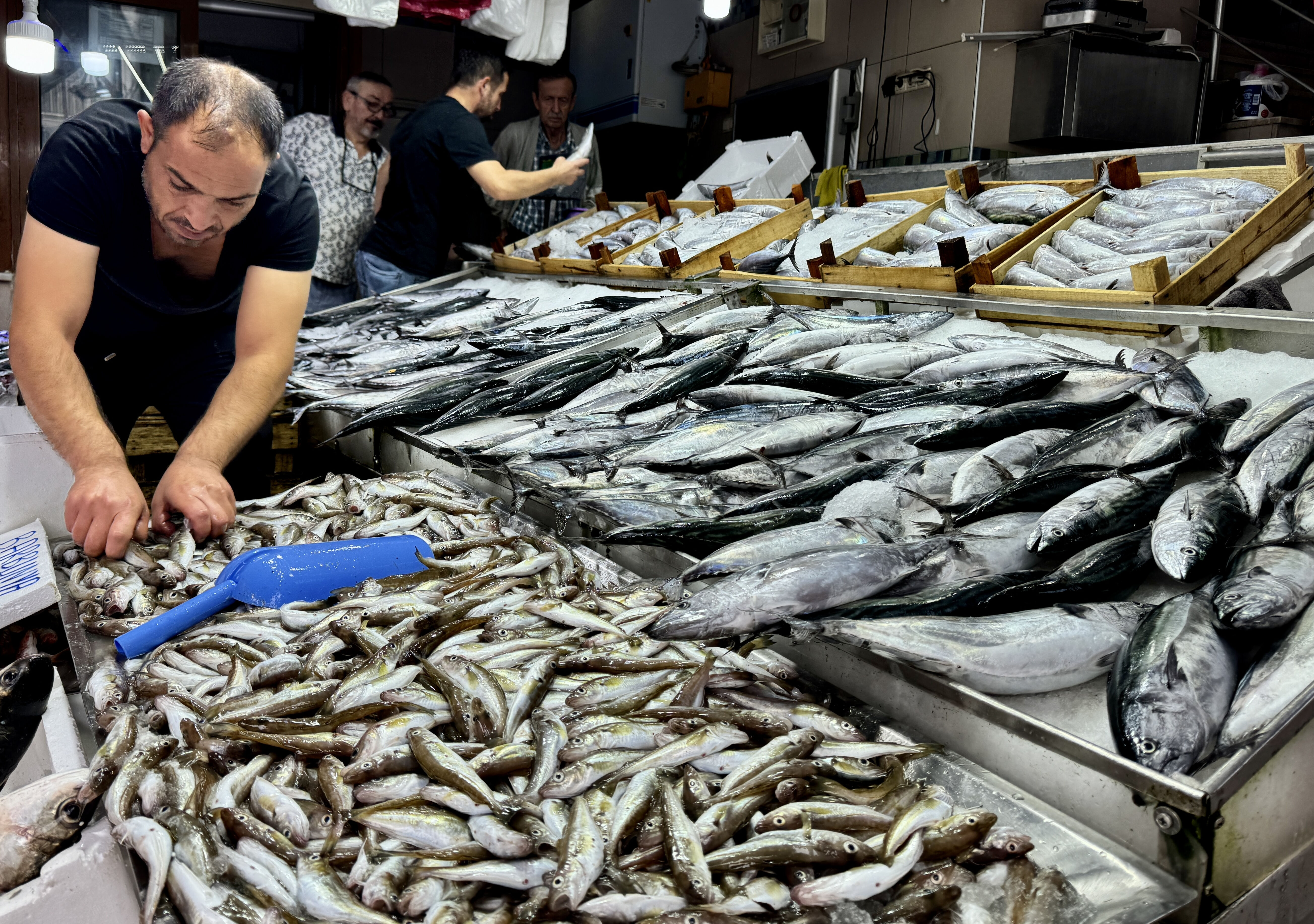 Palamut yine zamlandı! Fiyat 3 katına çıktı Palamut yine zamlandı! Fiyat 3 katına çıktı - 1. Resim