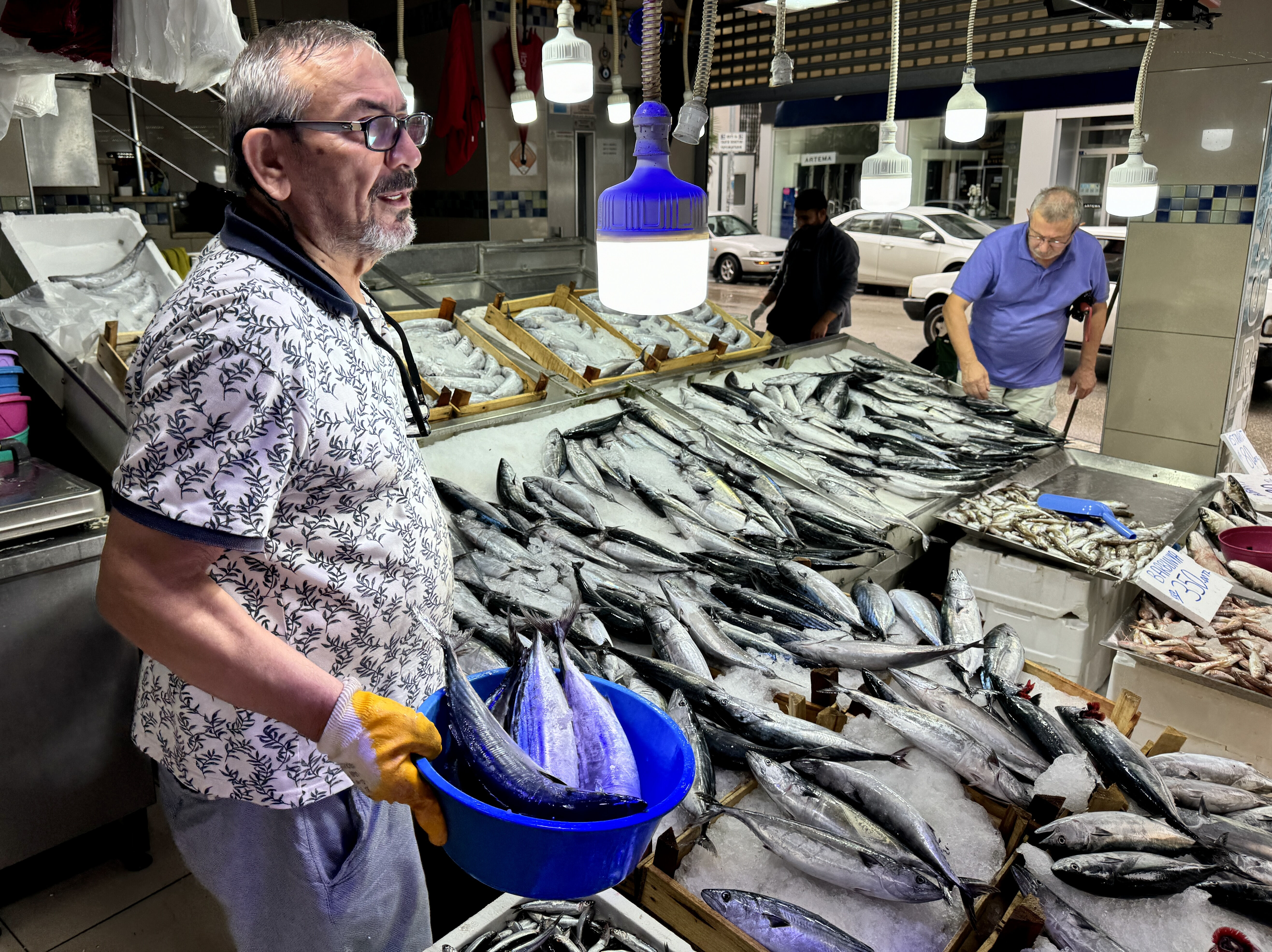 Palamut yine zamlandı! Fiyat 3 katına çıktı Palamut yine zamlandı! Fiyat 3 katına çıktı - 2. Resim