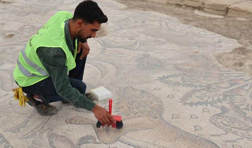 120 bin TL’ye aldığı arsayla hayatı değişti... Fidan dikerken fark etti, Türkiye’de bir ilk! - 6. Resim