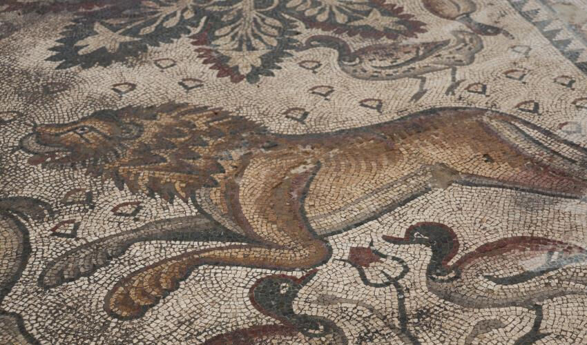 120 bin TL’ye aldığı arsayla hayatı değişti... Fidan dikerken fark etti, Türkiye’de bir ilk! - 4. Resim