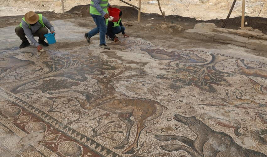 120 bin TL’ye aldığı arsayla hayatı değişti... Fidan dikerken fark etti, Türkiye’de bir ilk! - 2. Resim