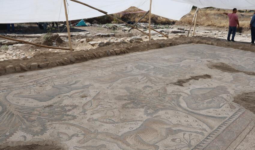 120 bin TL’ye aldığı arsayla hayatı değişti... Fidan dikerken fark etti, Türkiye’de bir ilk! - 3. Resim