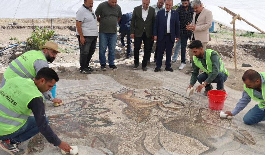 120 bin TL’ye aldığı arsayla hayatı değişti... Fidan dikerken fark etti, Türkiye’de bir ilk! - 1. Resim