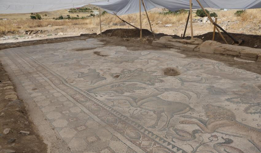 120 bin TL’ye aldığı arsayla hayatı değişti... Fidan dikerken fark etti, Türkiye’de bir ilk! - 5. Resim