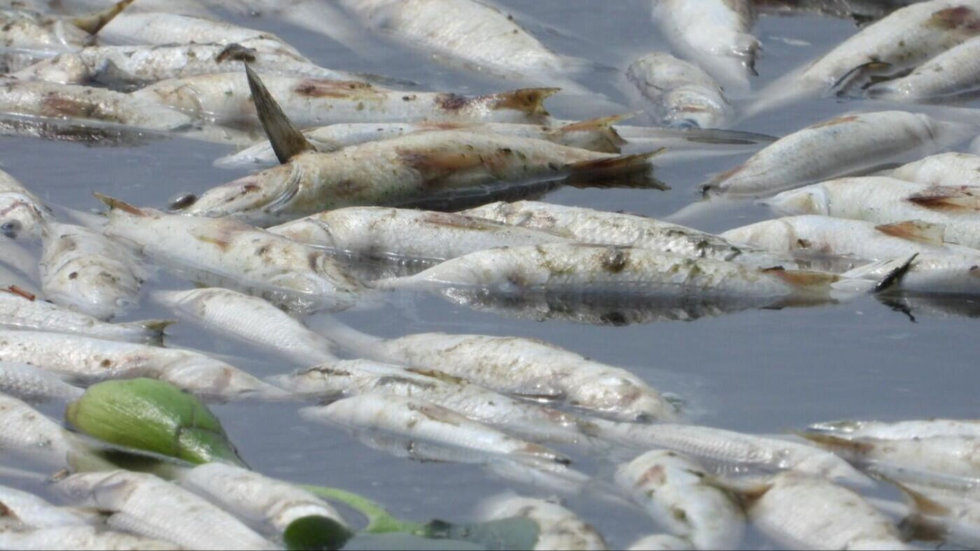 Cumhurbaşkanı Yardımcısı Yılmaz'dan 'kriz' sözleri! “Halkımız kısır çekişme değil hizmet bekliyor” - 2. Resim