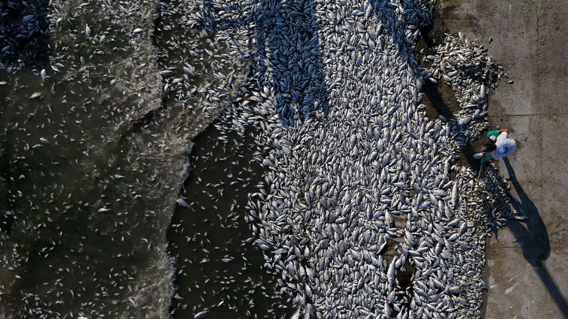 Cumhurbaşkanı Yardımcısı Yılmaz'dan 'kriz' sözleri! “Halkımız kısır çekişme değil hizmet bekliyor” - 3. Resim