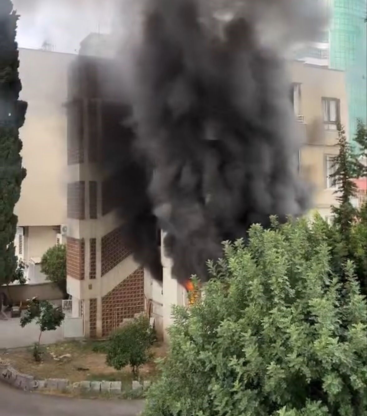 Hasretine dayanamayıp evine almıştı... Adana'da otizmli çocuk daireyi küle çevirdi - 2. Resim
